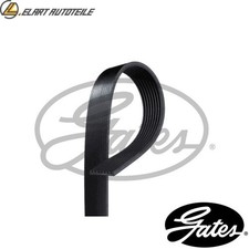 V-RIBBED BELT 8PK1392HD FOR
