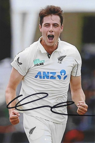 Will rourke - will, zealand)