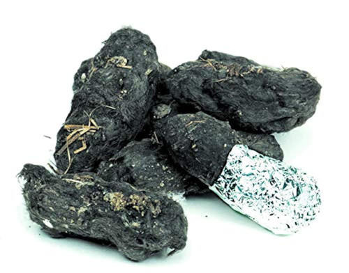 Barn owl pellets large - -,
