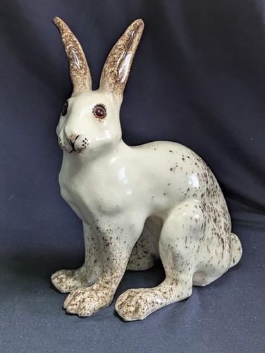 Winstanley arctic hare size - arctic,