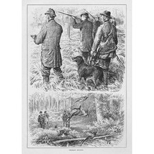 Pheasant Shooting - Antique Print 1883