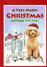 Poodle (Apricot) Dog A6 (4"x