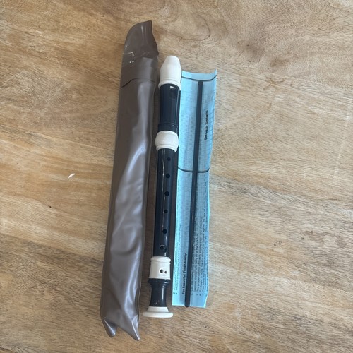School recorder - school,