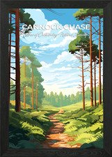 Cannock Chase Forest Path