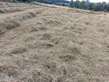 Round and Small Bale Hay SOLD OUT 