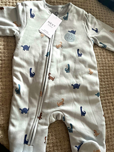 Next tog dinosaur - dinosaur, print