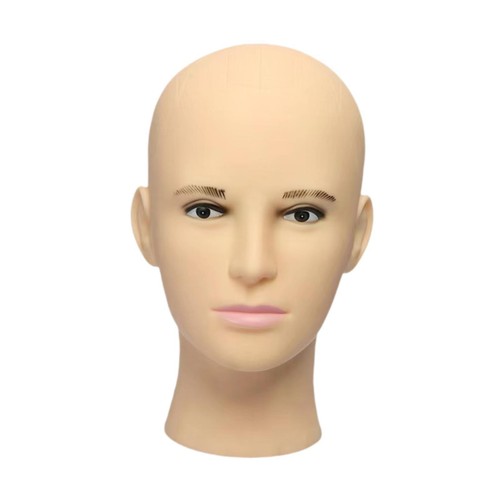 Male bald mannequin head - bald,