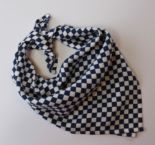 Soft silk neckerchief scarf - silk,