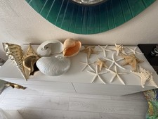 Natural Dry Starfish