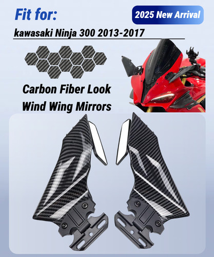 Carbon fiber style wind wing - style,