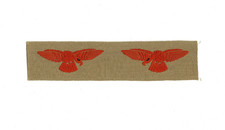 A pair of RAF EAGLES for