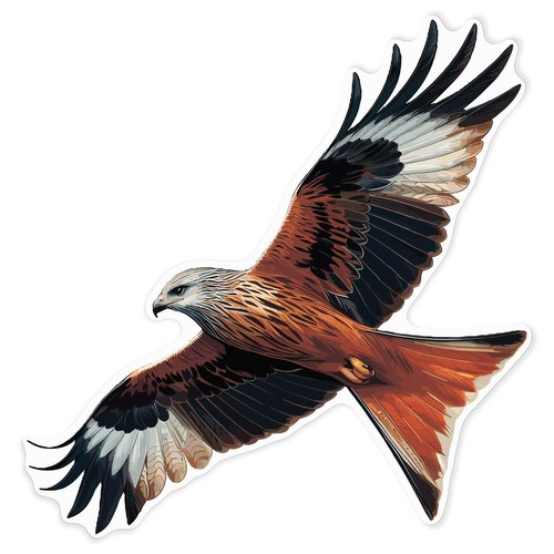 Red kite bird prey decal - kite, of