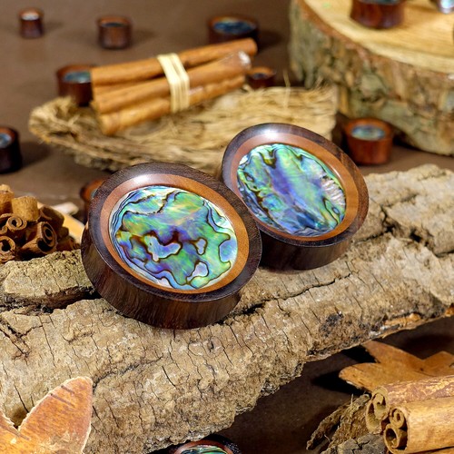 Saba and abalone plug - abalone,