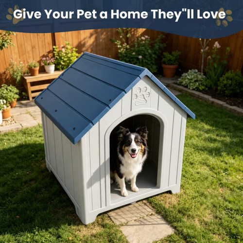 Outdoor dog - outdoor,