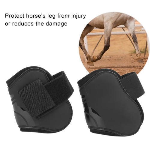 Horse exercise jumping boots - exercise,