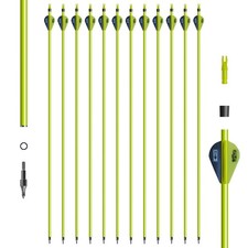 Exquisite 31" Carbon Arrows Nocks Spine 500 Compound Recurve Bows Hunting