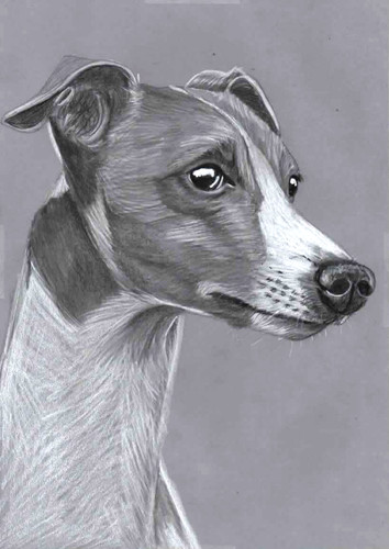 Original pencil drawing - original, b&w