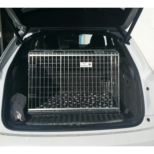 Pet world audi - world,