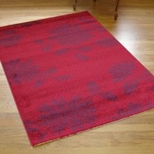 Brand New Cameo Rug Floral