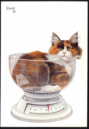 Modern cat art - modern, postcard