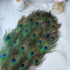 20pcs Real Natural Peacock Tail Eyes Feathers 9-12 Inches / about 23-30cm USA