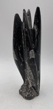 Orthoceras fossil tower - tower, —