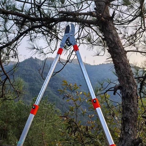 Telescopic tree loppers - tree, 69