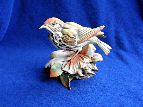 Capodimonte farina thrush - farina,