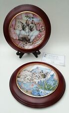 Danbury Mint Siamese Cat Plates x2 Framed Peaches & Cream & Three In A Row