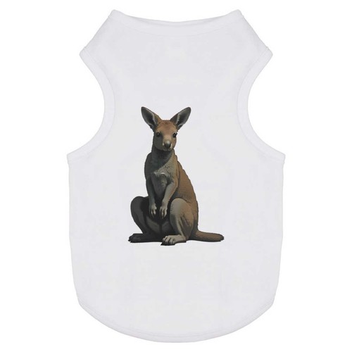 Kangaroo dog cat pet - cat,