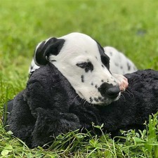 Snuggle puppy original - snuggle,