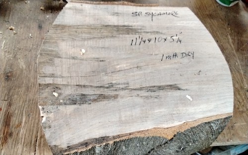 Spalted sycamore bowl blank - sycamore,