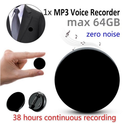 Mini hidden voice activated - mini,
