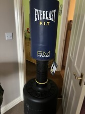 Everlast punchbag and gloves - punchbag,