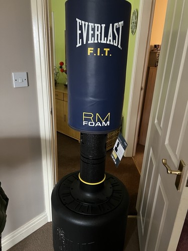 Everlast punchbag and - punchbag, gloves