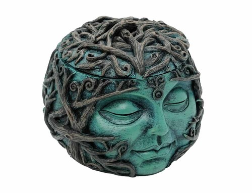 Box buddha head with - head, tree