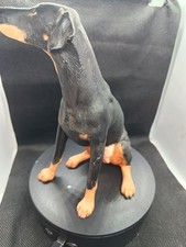 Border Fine Arts Doberman