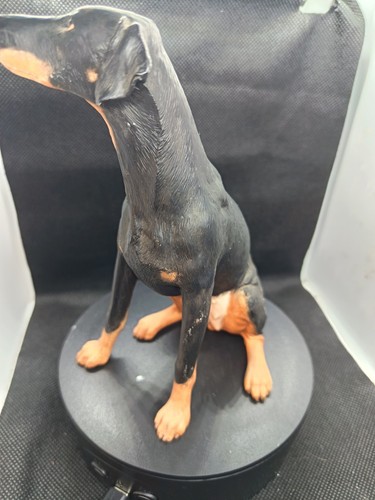 Border fine arts doberman - border,