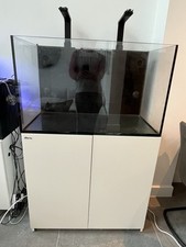 Red Sea Max E Series E260