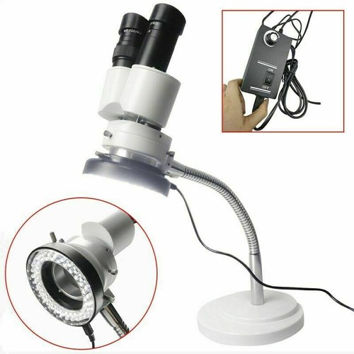 10x magnification dental - magnification,