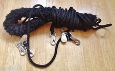 New Horse Lunging Training