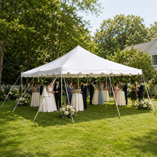 Canopy party tent - 20,