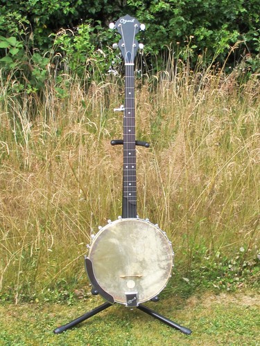 Ozark string fretless - 5,