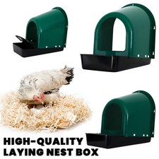 Roll away chicken - chicken, nesting