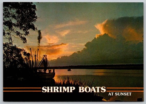 Shrimp boats sunset - shrimp,
