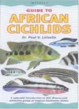 Guide to African Cichlids,Paul