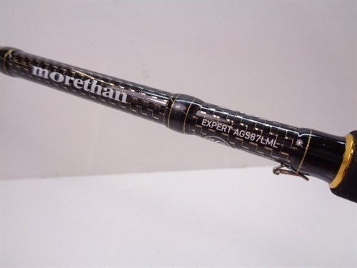 Daiwa more than expert - daiwa,