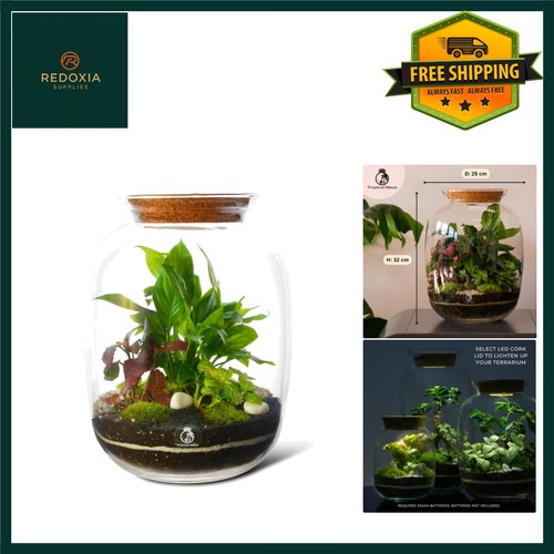 Large diy terrarium kit - diy,