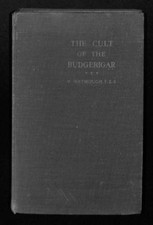 The cult of the budgerigar -
