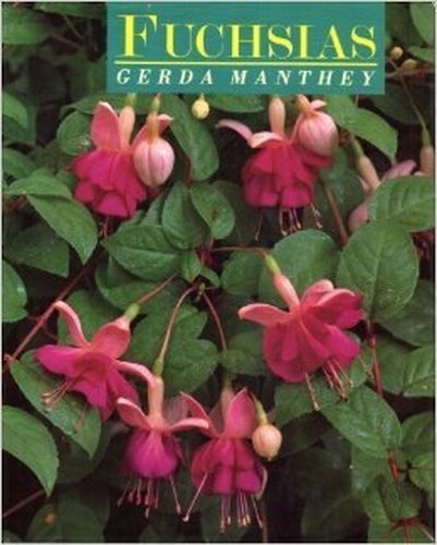 Fuchsias manthey gerda - by,